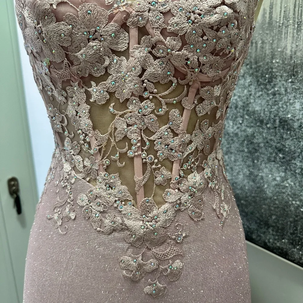 2x$70- Elegant Blush Lace Appliqué Evening Gown - Picture 3 of 6